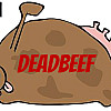 found cuda deadbeef